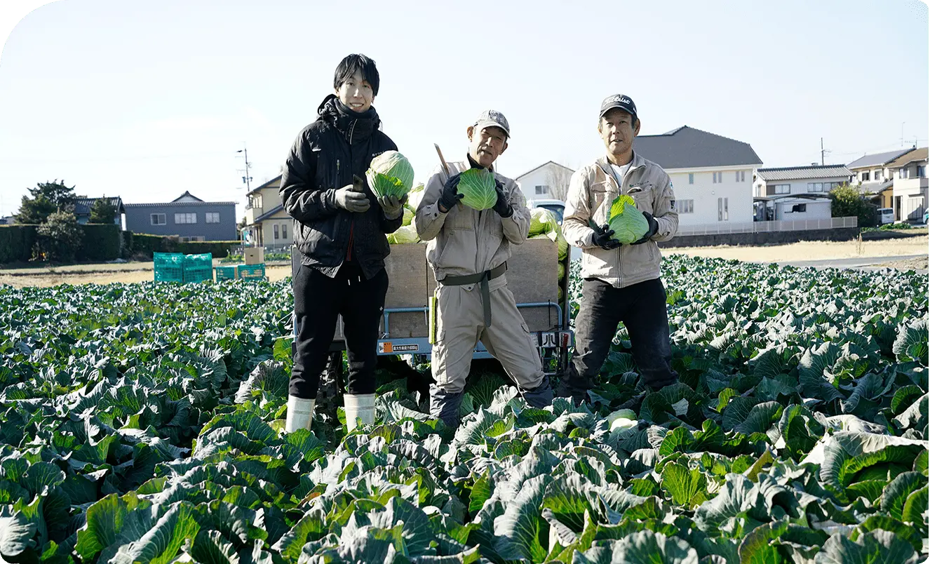 畑で収穫作業を行う3名のスタッフの写真
